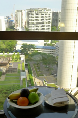 １泊３日、シンガポールの旅  - シェラトン･タワーズ･シンガポール（SHERATON TOWERS SINGAPORE）ホテル