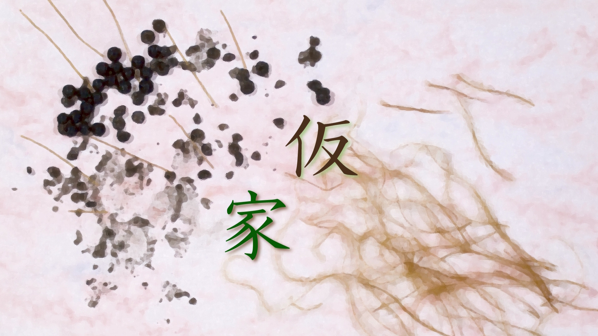 続 夏目友人帳 10話 仮家 海外の感想 かいがいの 続 夏目友人帳 10話 仮家 海外の感想 かいがいの