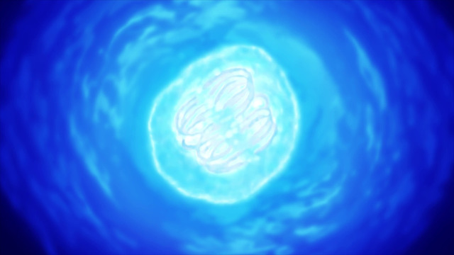 00396