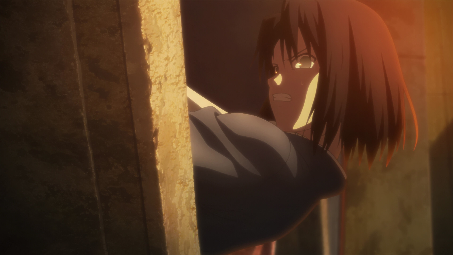 空の境界 1章 俯瞰風景 海外の感想 かいがいの