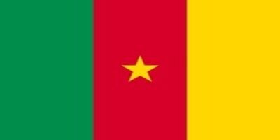 国旗:カメルーン