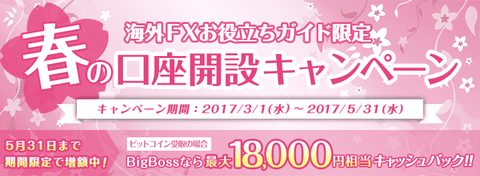 cashback_campaign_main_201703