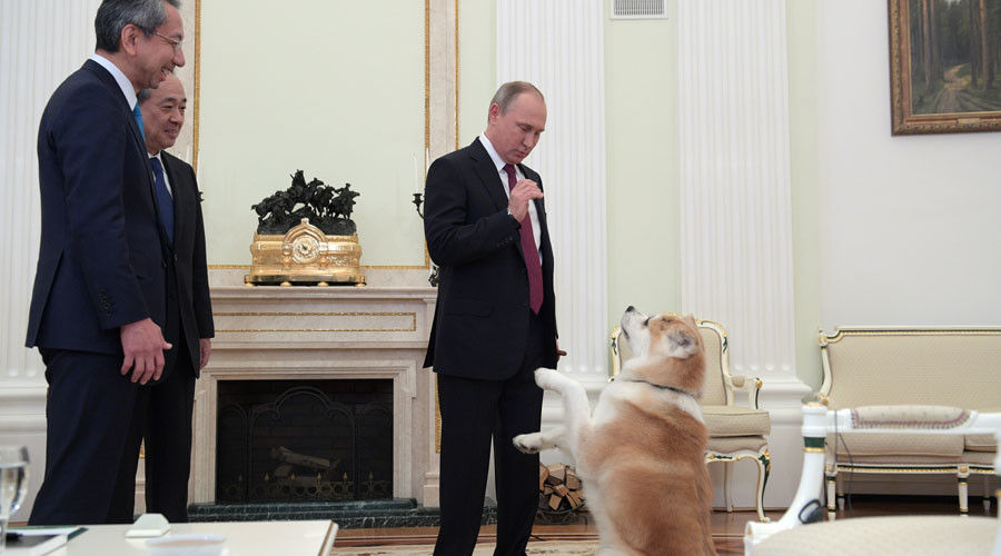 プーチン大統領が日本メディアに秋田犬 ゆめ をお披露目 海外の反応 海外のお前ら 海外の反応 プーチン大統領が日本メディアに秋田犬 ゆめ をお披露目 海外の反応 海外のお前ら 海外の反応