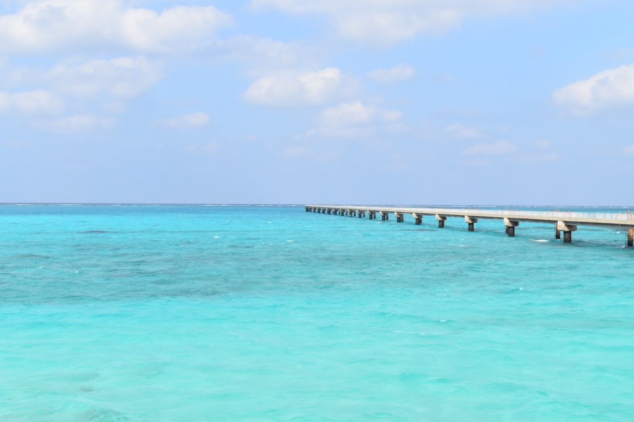 日本の宮古島で釣れた361 の本マグロ 海外の反応 海外のお前ら 海外の反応 日本の宮古島で釣れた361 の本マグロ 海外の反応 海外のお前ら 海外の反応