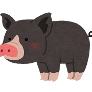 animal_kurobuta_pig