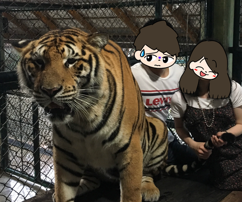 AB64373A-CB2A-4BD7-8715-C49E4705418B