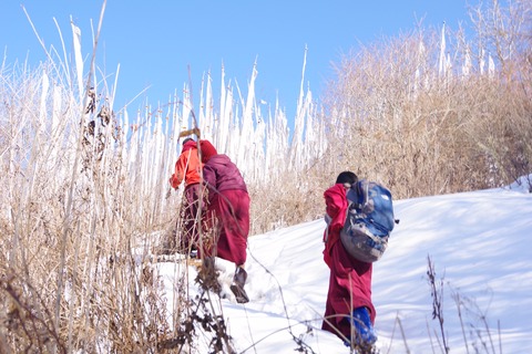 2B6290A5-A830-43ED-A966-12C146296C16