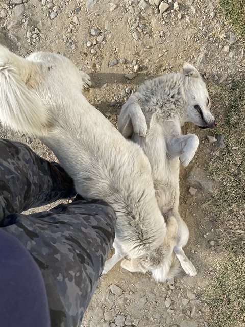 8FF265E7-73D9-472A-B0EF-EB2F2A5F73D2