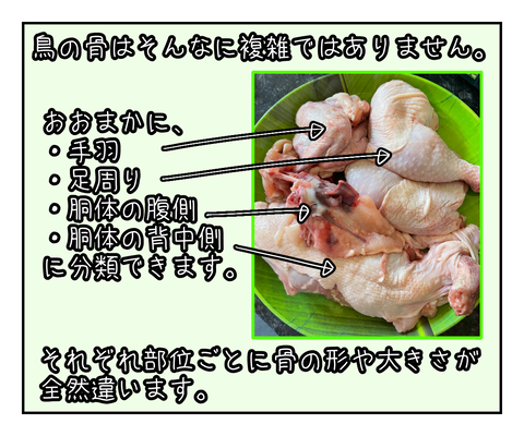 6DE991A7-09C4-49E0-AB61-DD9038138B92