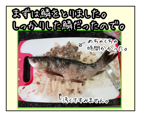 EA0C12EE-A4DF-40AF-9A79-D9E73AE48313