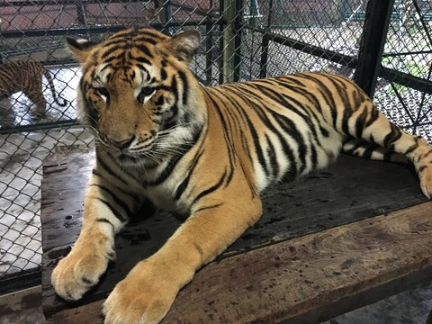 99704265-3FF6-49FF-881B-09292BC788B6