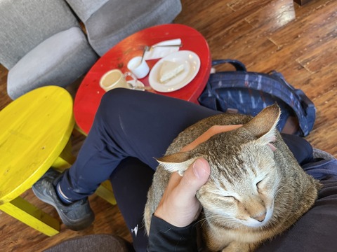 06EBAF2D-FD54-4F4E-AC26-13CCD37CC9FB