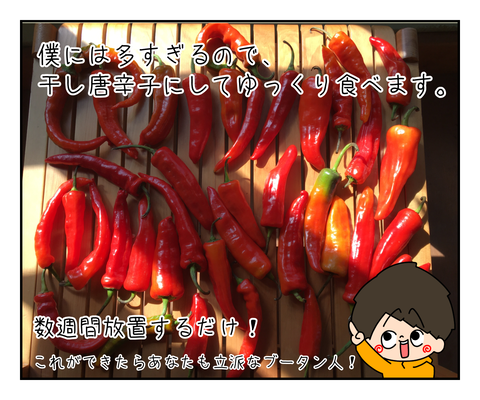 9EF634DB-4115-4565-B2F3-22C1AD1766A1