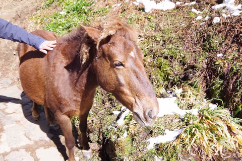 1D2441A1-F0FA-4FFE-8EA3-C06568965EEB