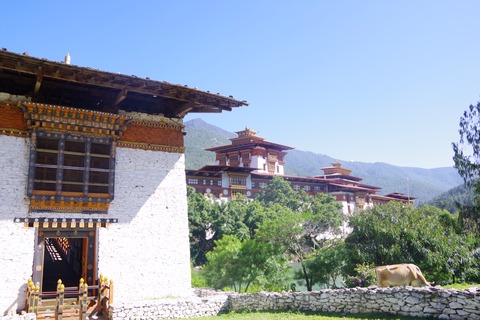 F4BFAC43-8FBF-4438-AEE8-1F23CB3BFEF4