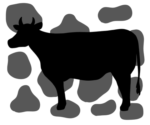 A372E2E6-2645-4FD4-81FF-36D0DC77D9D9