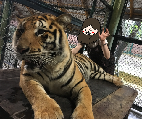 700CB21F-286D-447C-9338-C650D74BBA6F