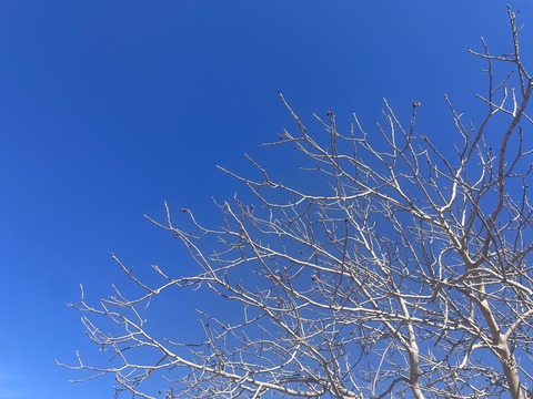 11582D7D-59B1-4656-9B84-5823DB80584C