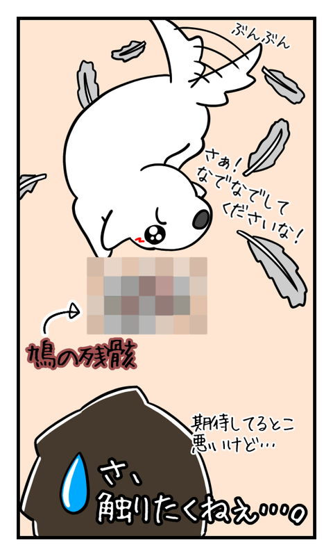 27405267-0EE8-4353-ABA4-5CBAB7CD04FA