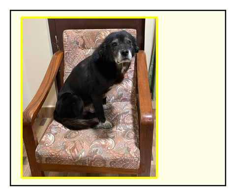 4C50F630-756B-4670-B63B-1D2A6F949F22