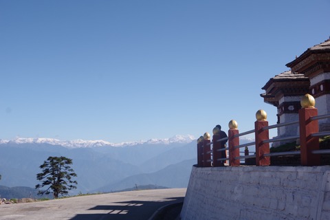 A043CB6D-2291-4101-80B3-621859B54524