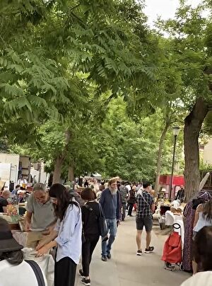 csz14keQAaxCWPp1755271041_1755271118