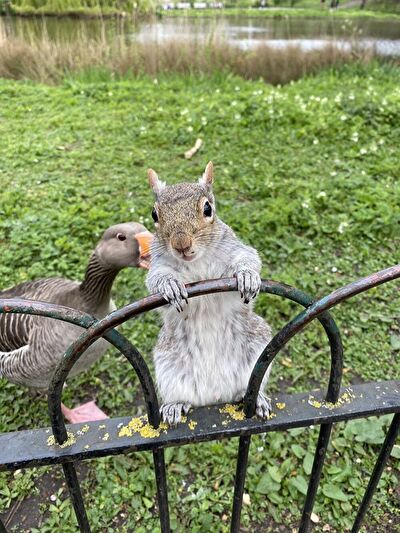 KMS4rHUVZLOi52H1715590279_1715590293