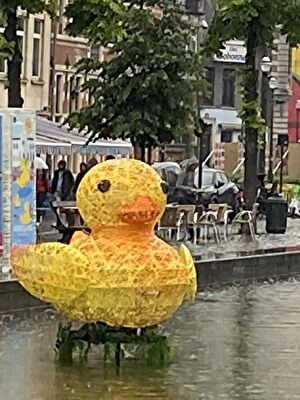 nu3Ck99pvZVw6JB1716150061_1716150124