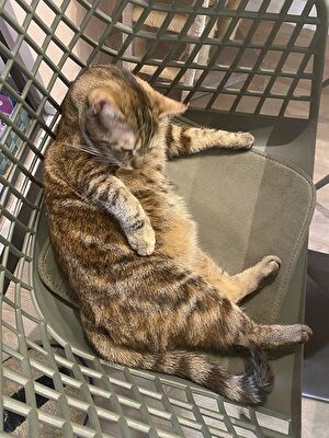 iTO7PuzAOLtNRlI1707518164_1707518192