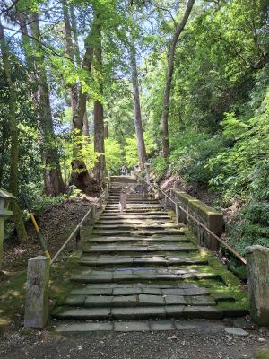 shizuoka6
