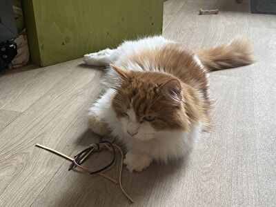 V6jA2VEwCvKCjPh1707518008_1707518060