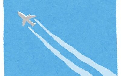 flight