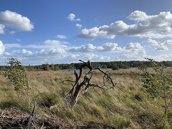 bNwkTqksyDItqv81759696103_1759696142