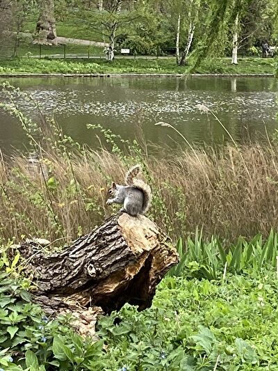 nurWbgIm8sswo961715590238_1715590256