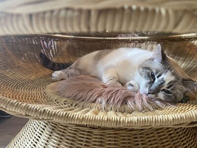 7wT3jnZUxjLWtoj1707517937_1707517961