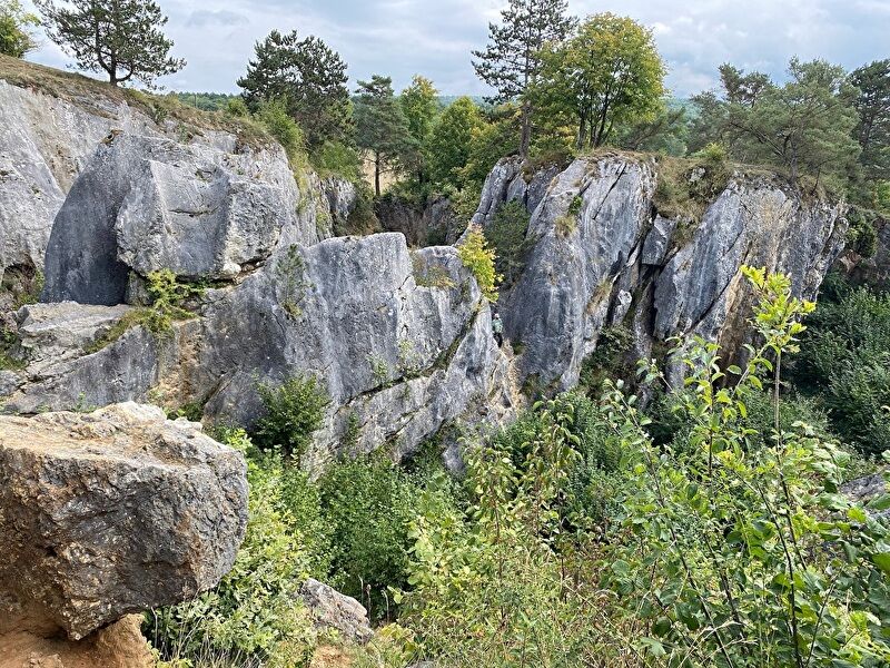 R6d4Q81H4MNAjMh1756665837_1756665857