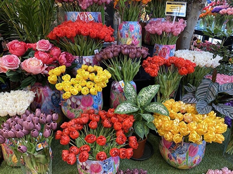 ScyvY2ng5rV1jPX1751227734_1751227751