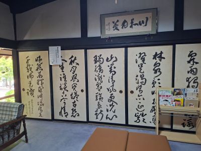 shizuoka4