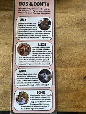 QbpX47dEU4U1lTz1707518093_1707518129