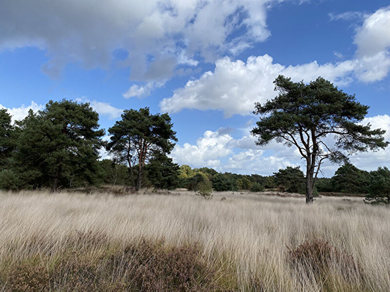 v6v2LkjWUW6fQVy1759695877_1759695913