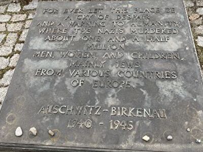 WIoiDsAomuxhHQE1711988077_1711988101