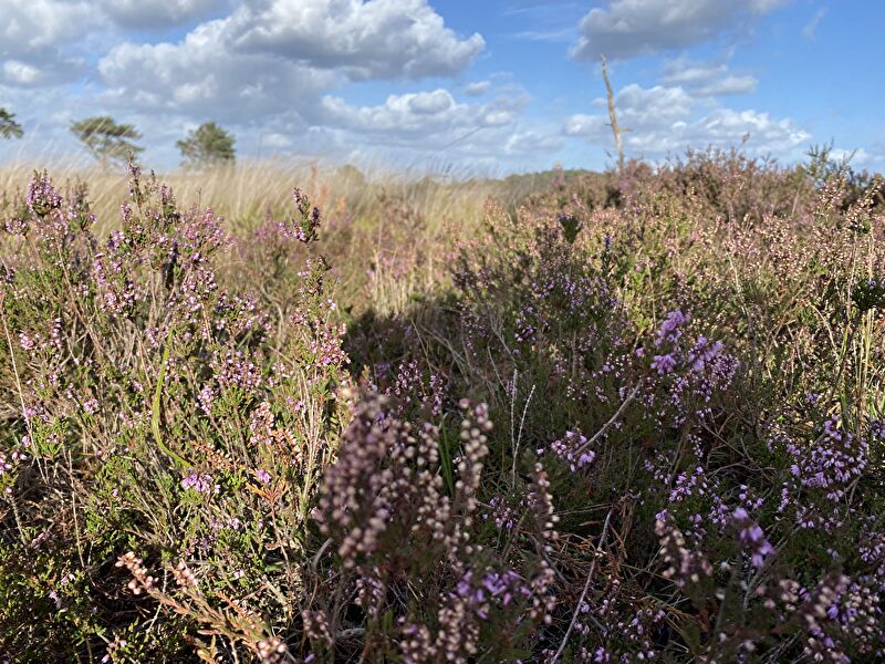 PIqVERmvOInxFSj1759695815_1759695835