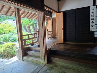 shizuoka5