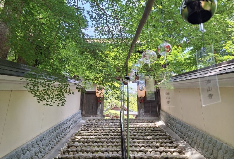 shizuoka