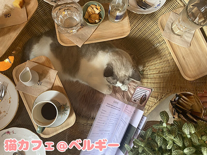 5ZUyIwdtdIbkisb1707513507_1707513581