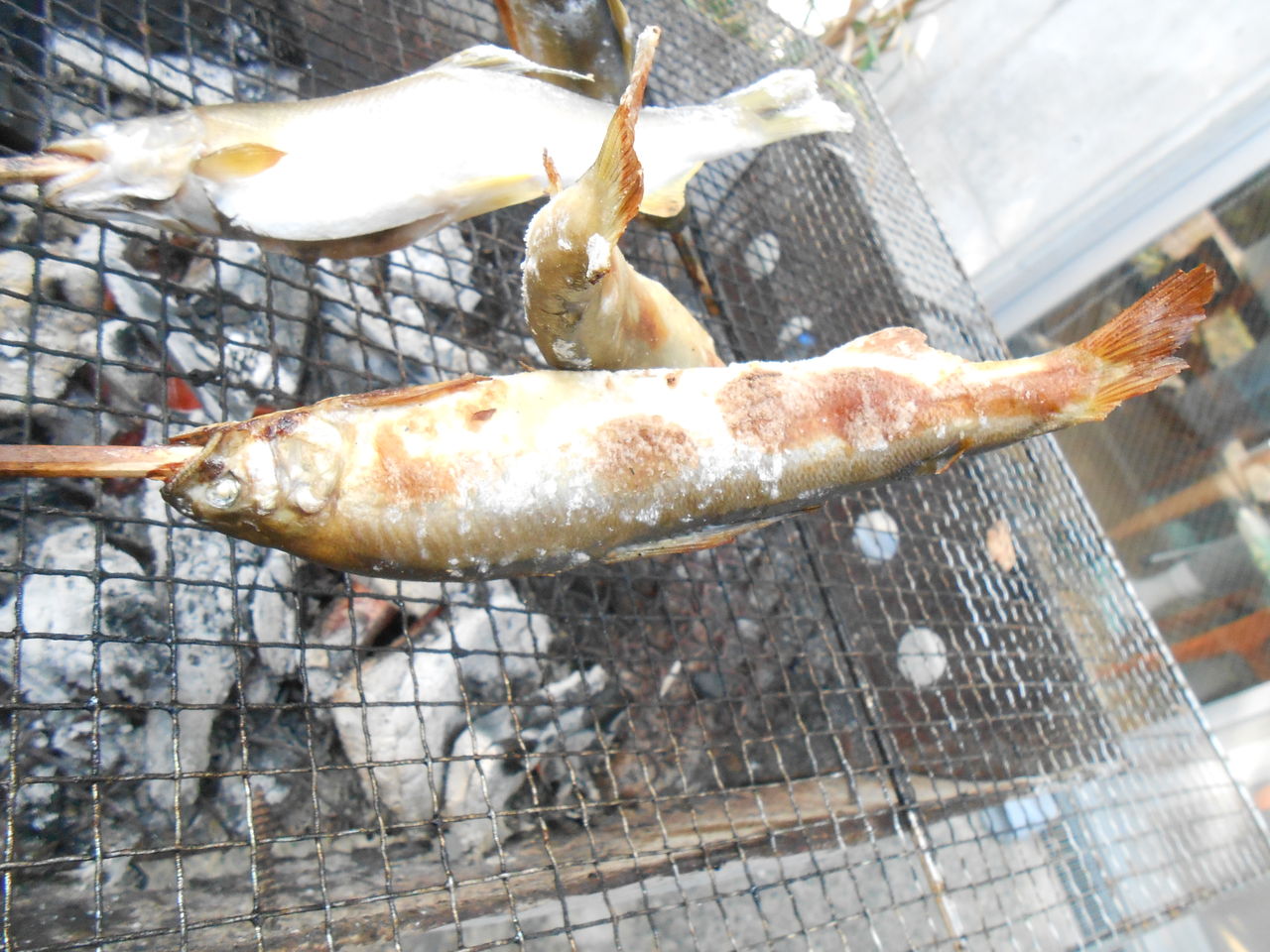 鮎の串焼き 富田町デイサービスセンターブログ 鮎の串焼き 富田町デイサービスセンターブログ