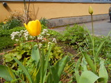 DSCN9240