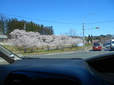 DSCN9205