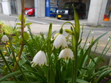 DSCN9243