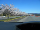 DSCN9203